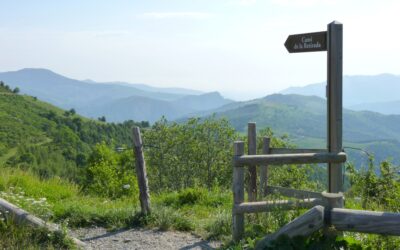 Escapade active dans les Pyrénées depuis l’Hôtel Calitxó : randonnée, vélo et nature dans la vallée de Camprodon